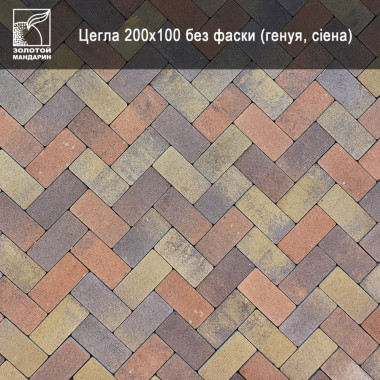 Тротуарна плитка ЦЕГЛА 200х100 60мм безфаскова Генуя | ЕКТА БУД - Будівельні матеріали в асортименті, продаж та доставка